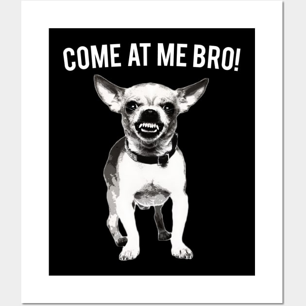 Come At Me Bro Chihuahua Dog Lover Dogs Wall Art by fromherotozero